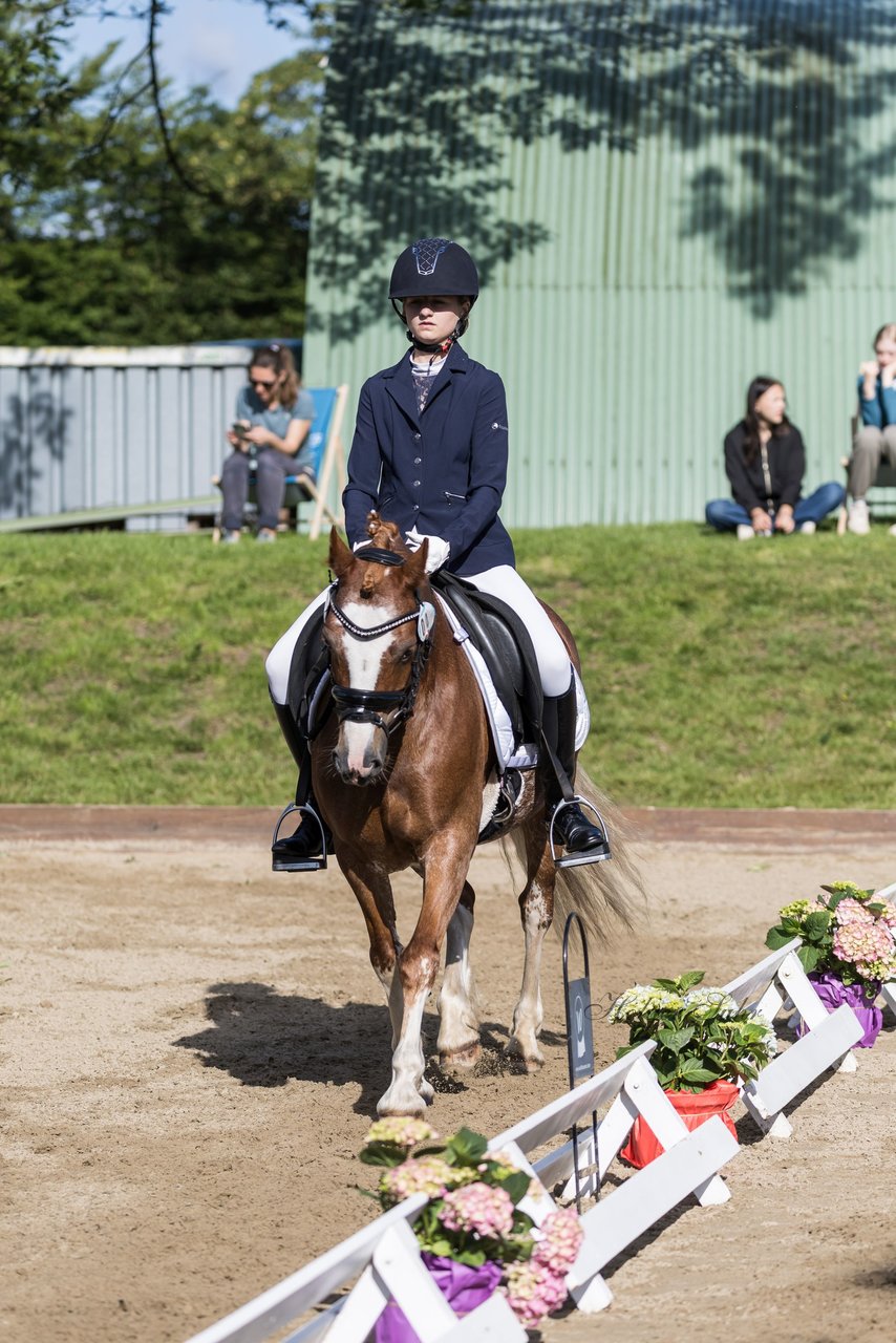 Bild 319 - Pony Akademie Turnier